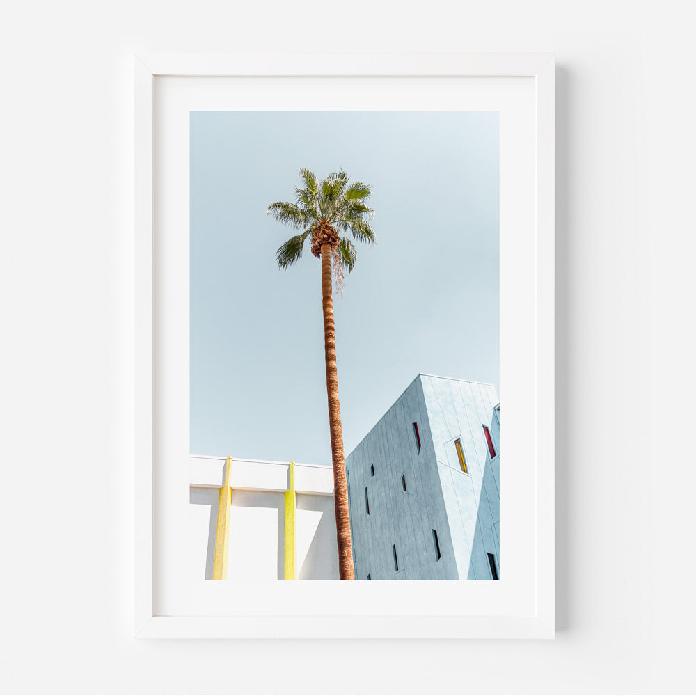Canvas print capturing the iconic palm trees of Palm Springs, ideal for adding a touch of desert charm to your wall decor.