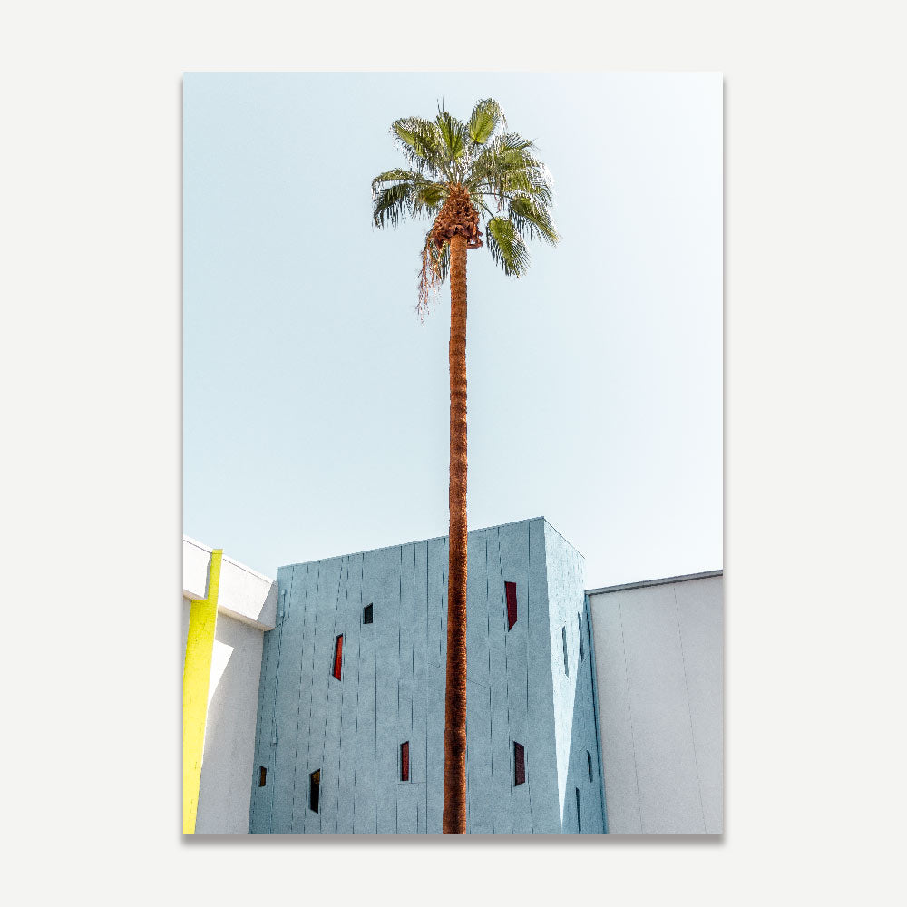 The wall art of Saguaro hotel Palm Springs , colourful facade , palm tree