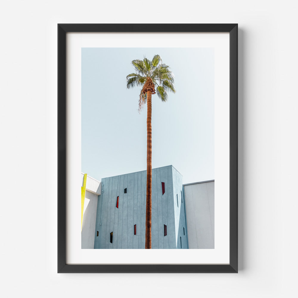 Mod Palm PS Art Print
