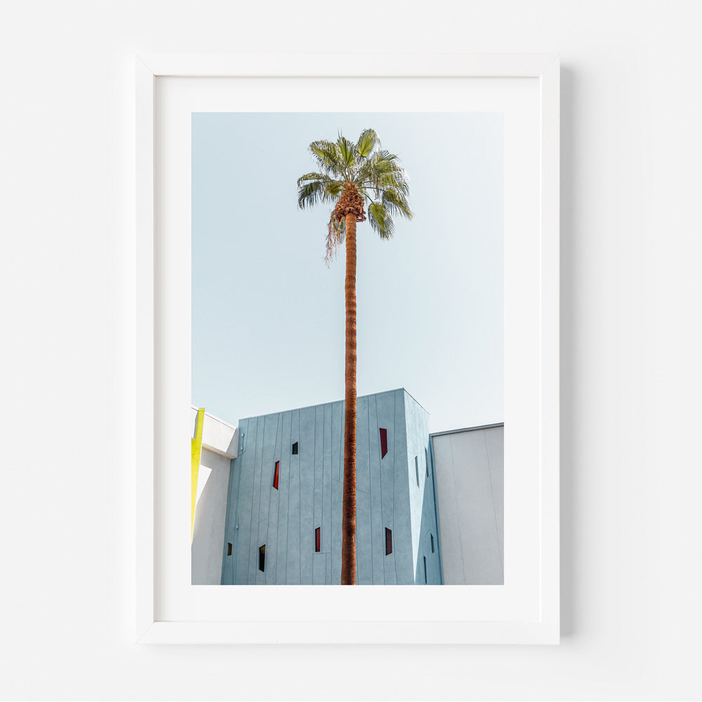 Mod Palm PS Art Print