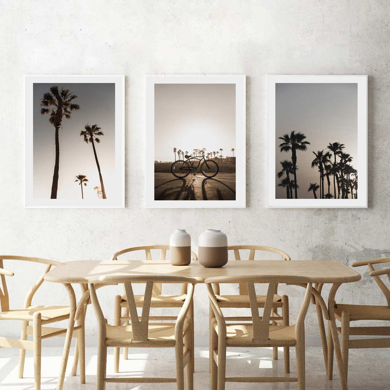 Set of 3 - Sunset Palm Trees / Bicycle & Moody Palms