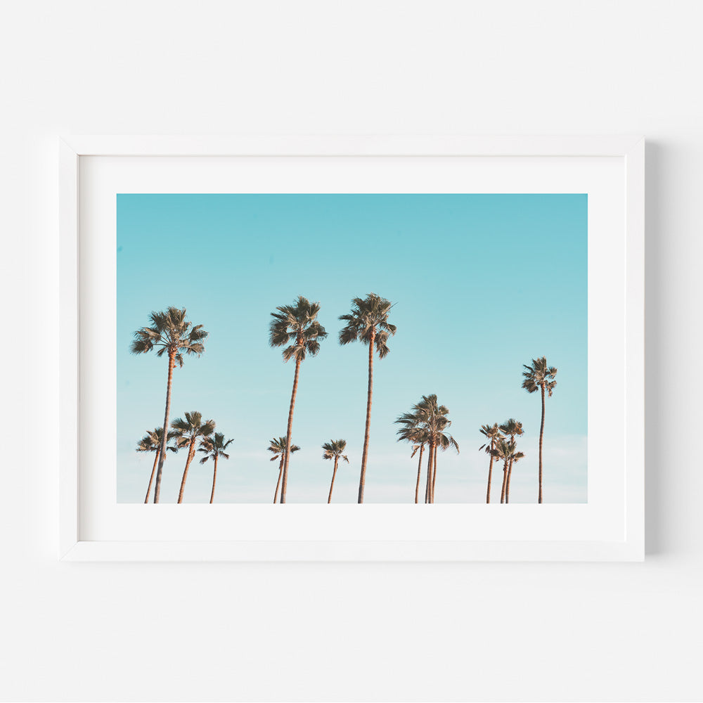  Palm trees in a white frame against a blue sky - wall art decor capturing the beauty of California's palm trees.