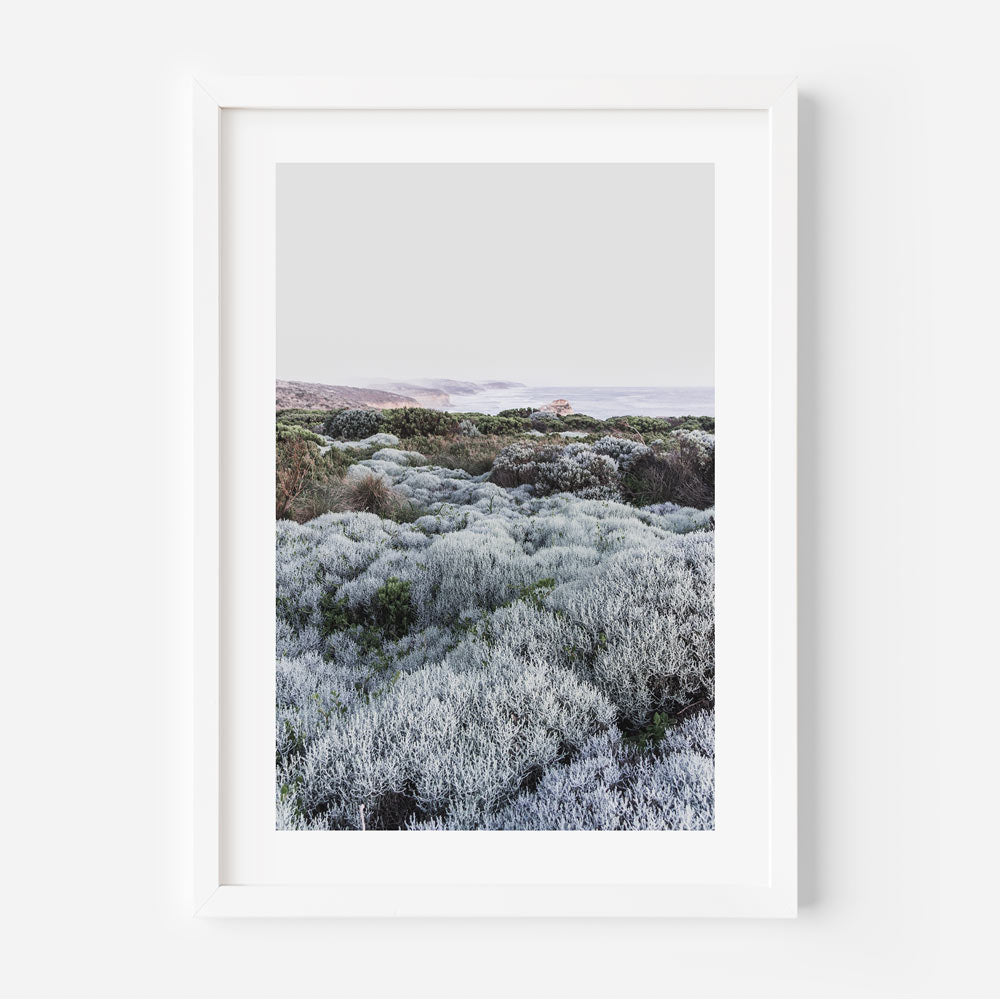 A white framed photograph of a field of plants, part of our wall art collection featuring real photography from Great Ocean Road, Victoria.