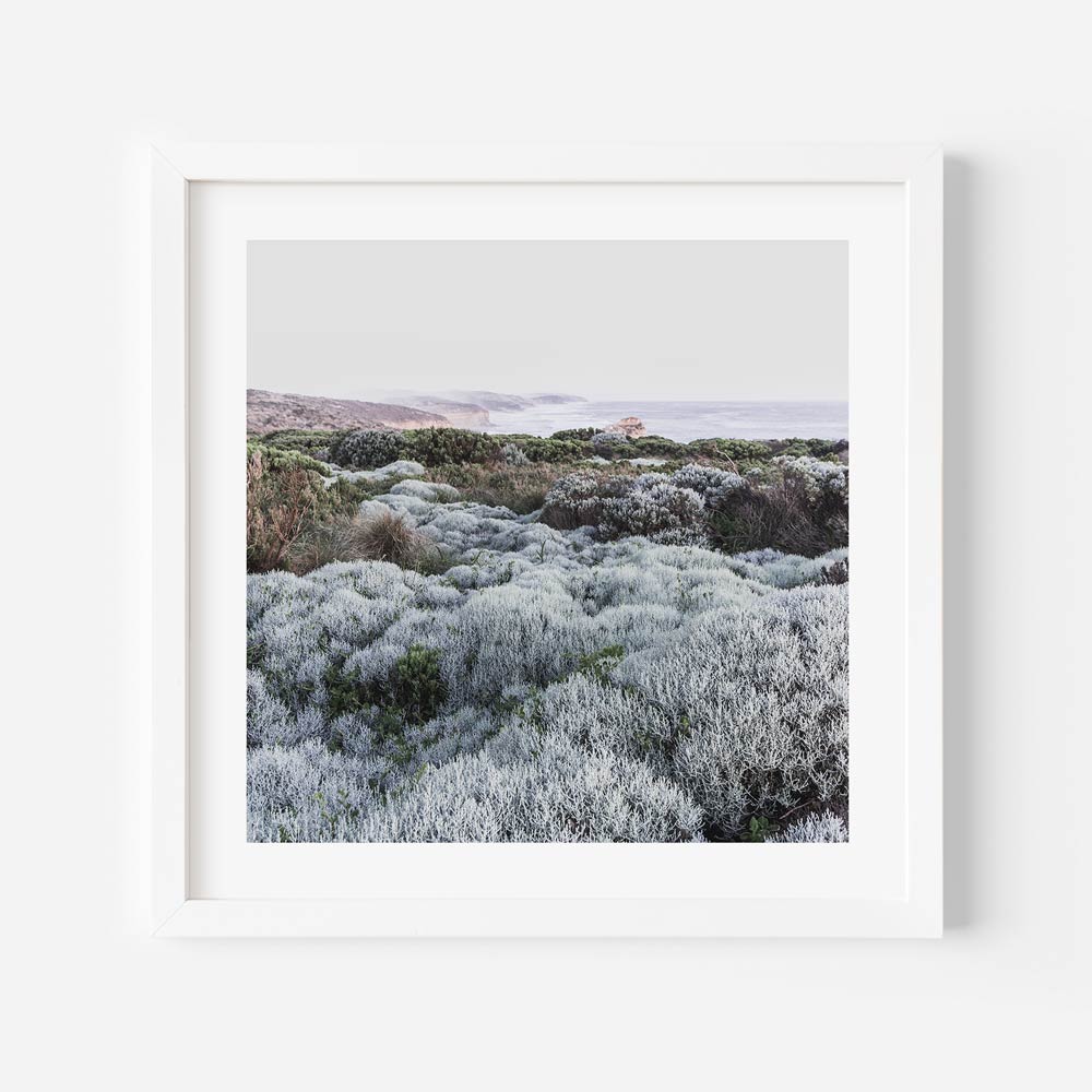 A white framed photograph of a field of plants - wall art decor