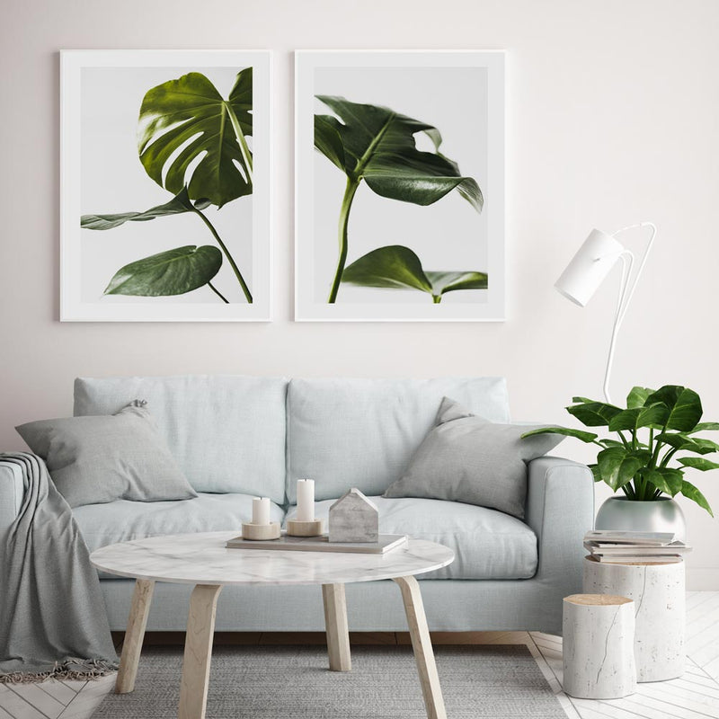 Monstera II