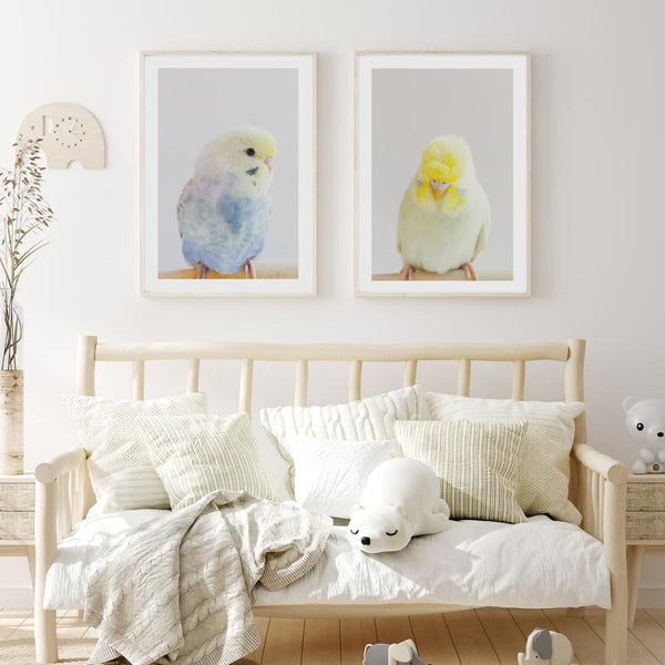 Set of 2 - Frosted Budgie Art & Crested Budgie Art