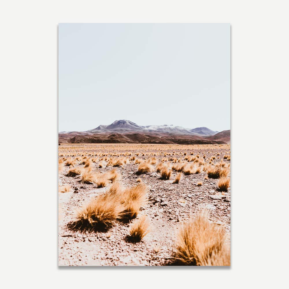 A landscape photograph featuring a desert scene with mountains in the background and dry grass in the foreground, predominantly in orange and red tones.