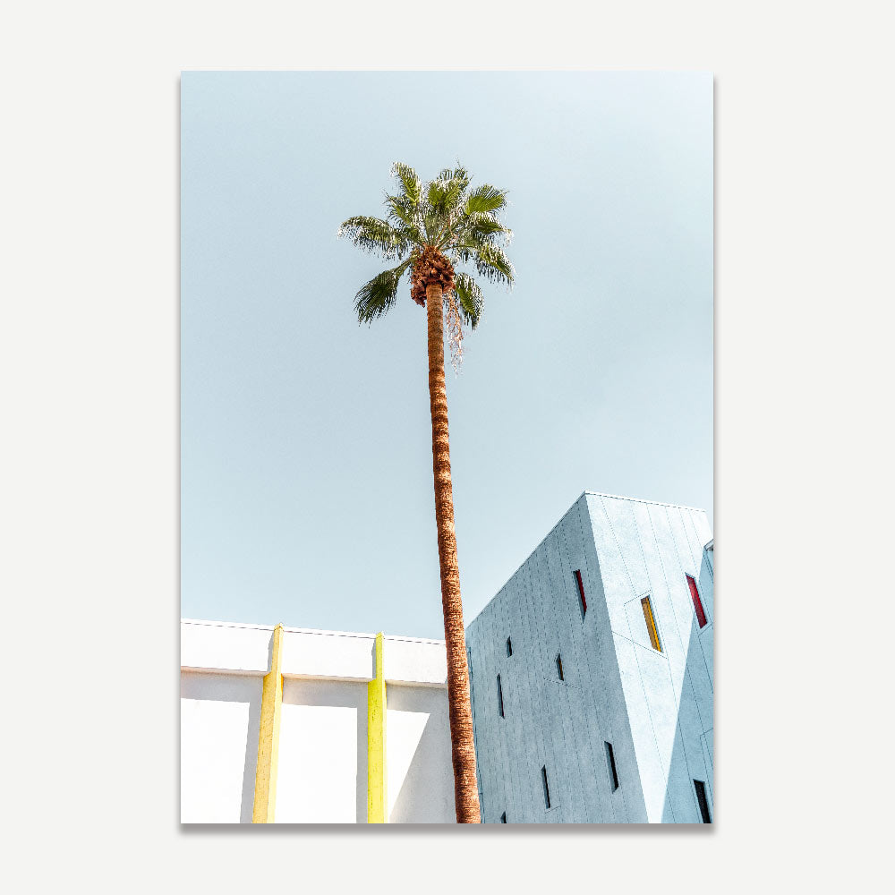 print featuring a palm tree in Palm Springs, capturing the essence of the sunny California lifestyle.