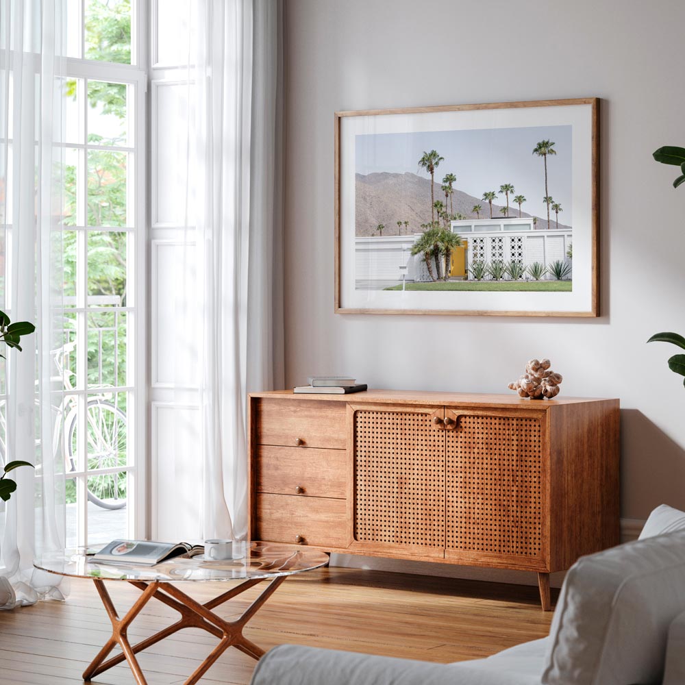 Canary Door Palm Springs Art Print
