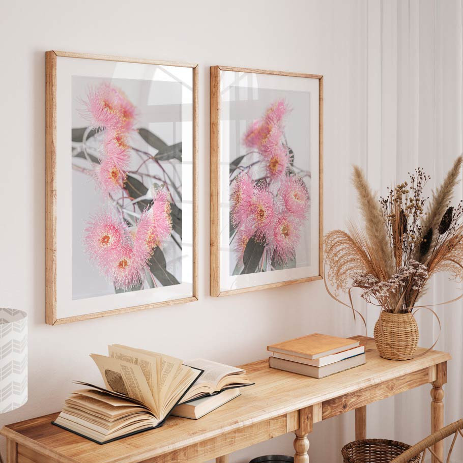 Framed photo capturing the exquisite beauty of a pink eucalyptus flower, ideal for enhancing your home with natural grace.