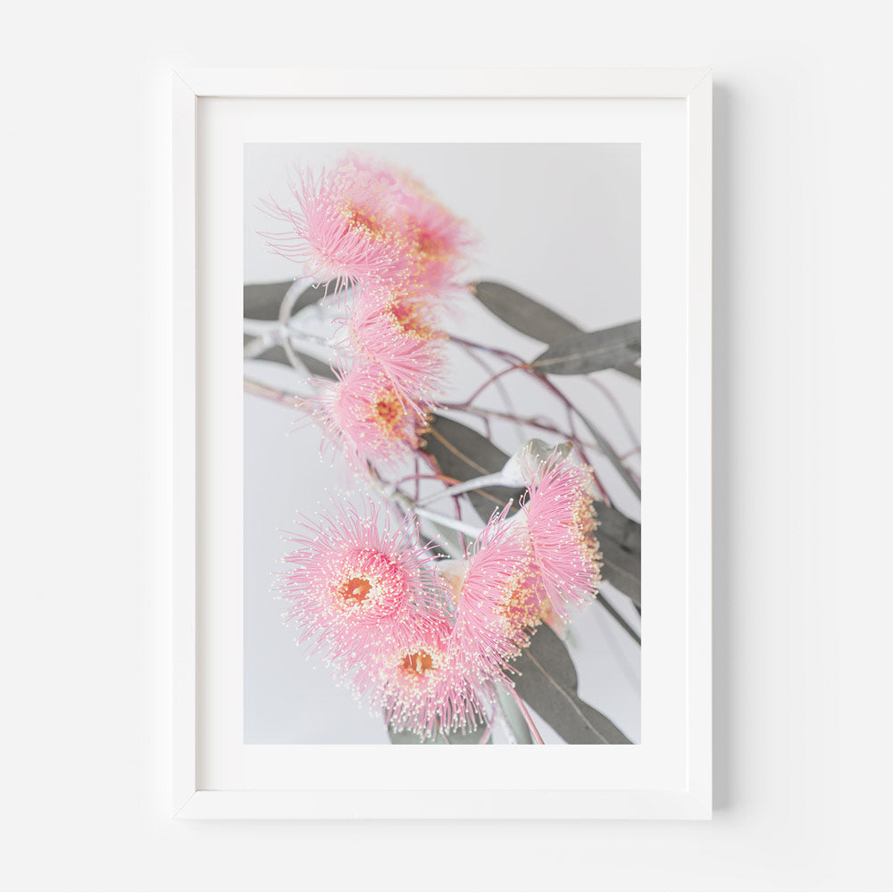 Delicate pink eucalyptus flower beautifully framed, perfect for adding floral charm to your wall decor.