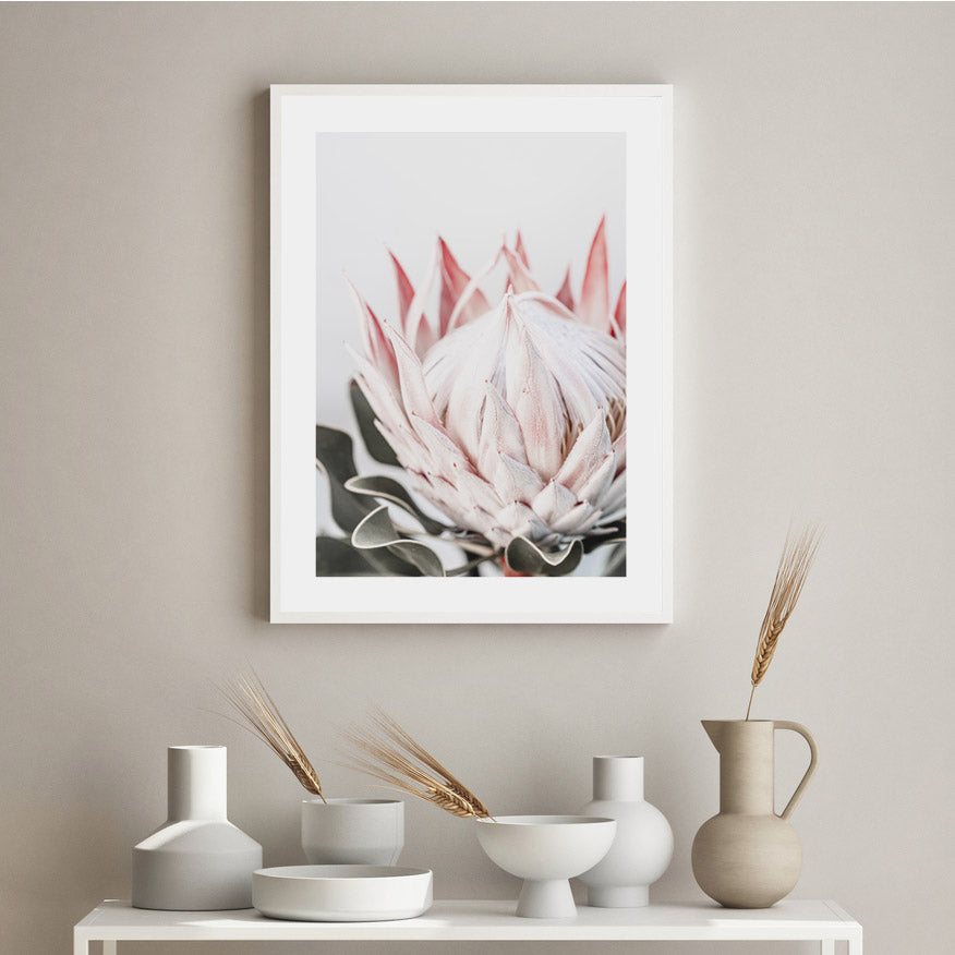 Pink Queen Protea I Art Print