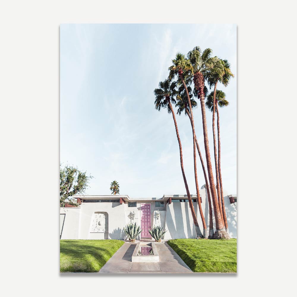 Mid Century modern home , cactus , palm trees , palm springs landscaping , palm springs , Indian Canyon