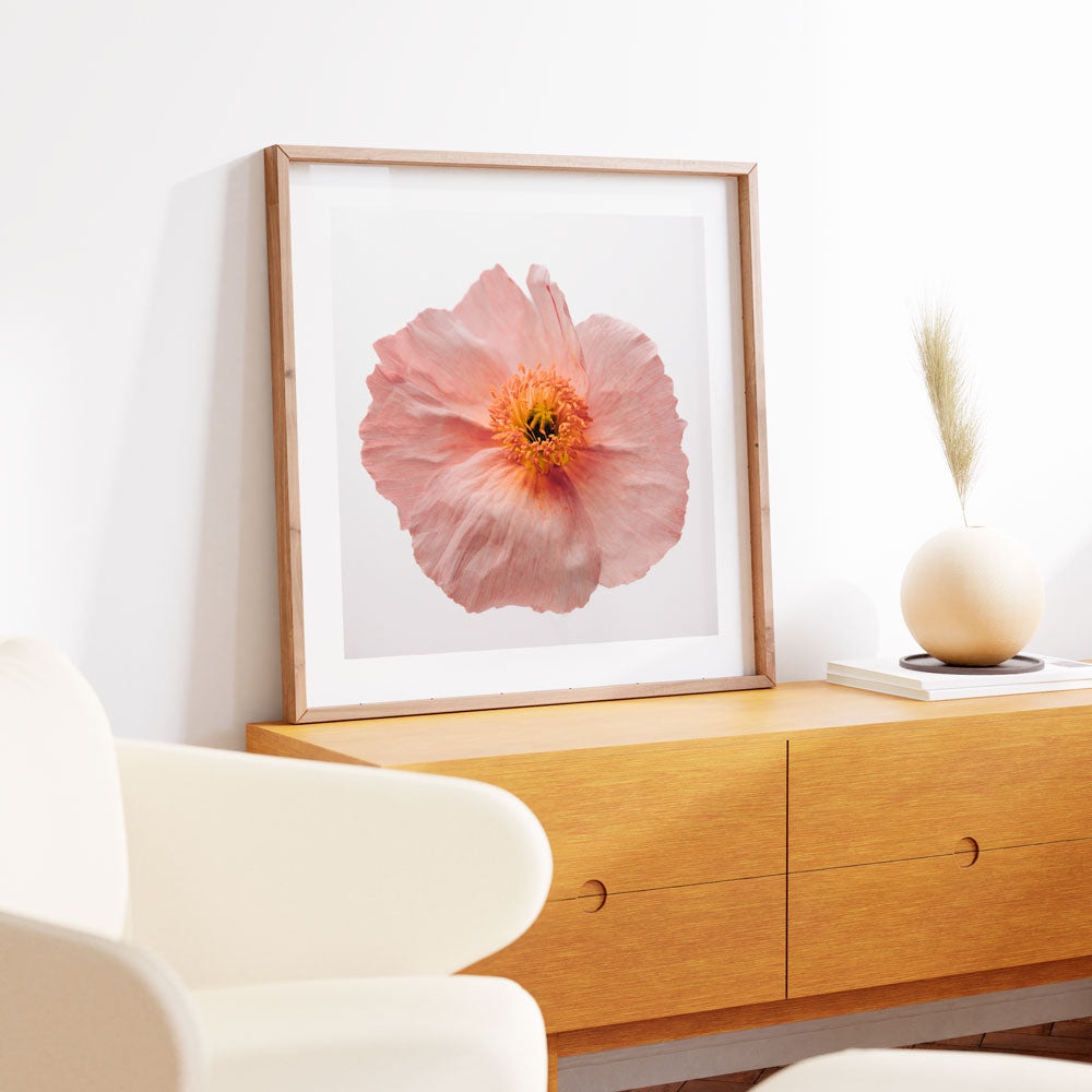 Pink Poppy SQ Art Print