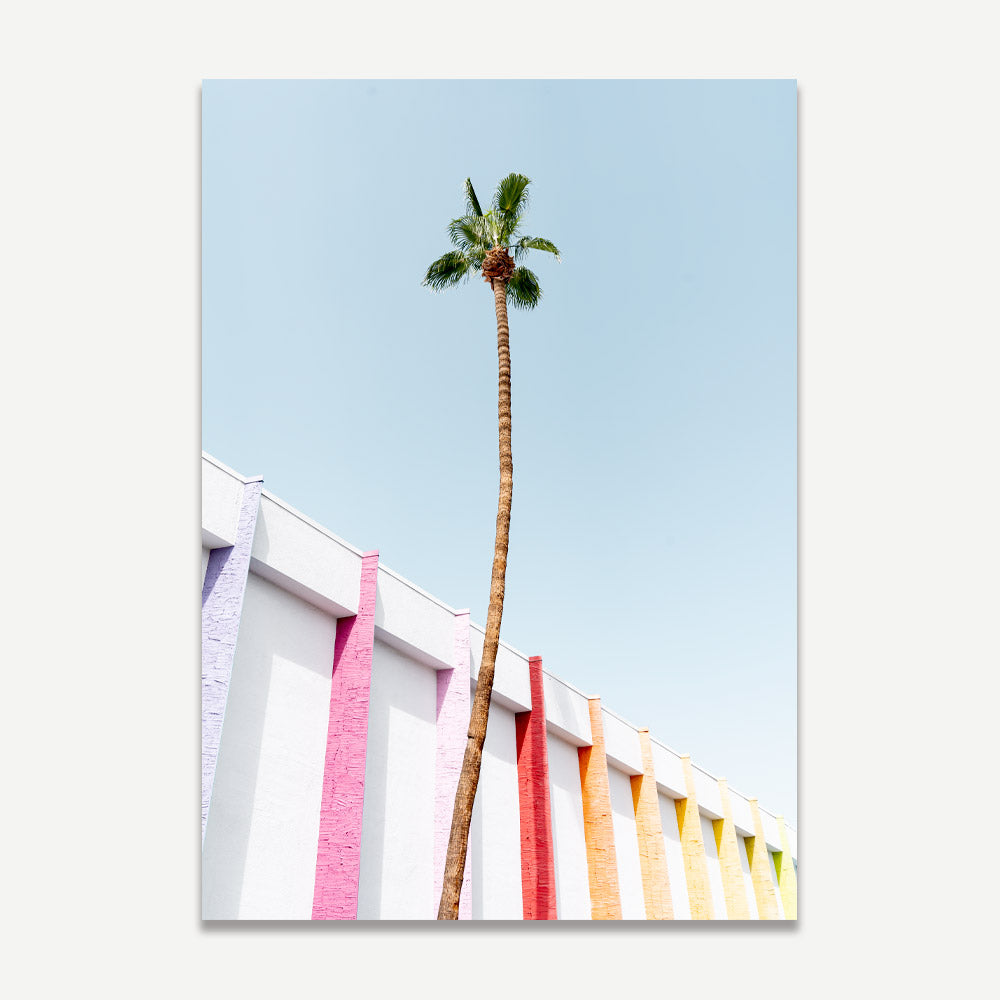 Colourful facade of Saguaro Hotel Palm Springs and a palm tree