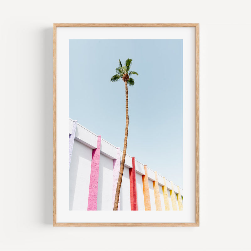 Saguaro Palm I