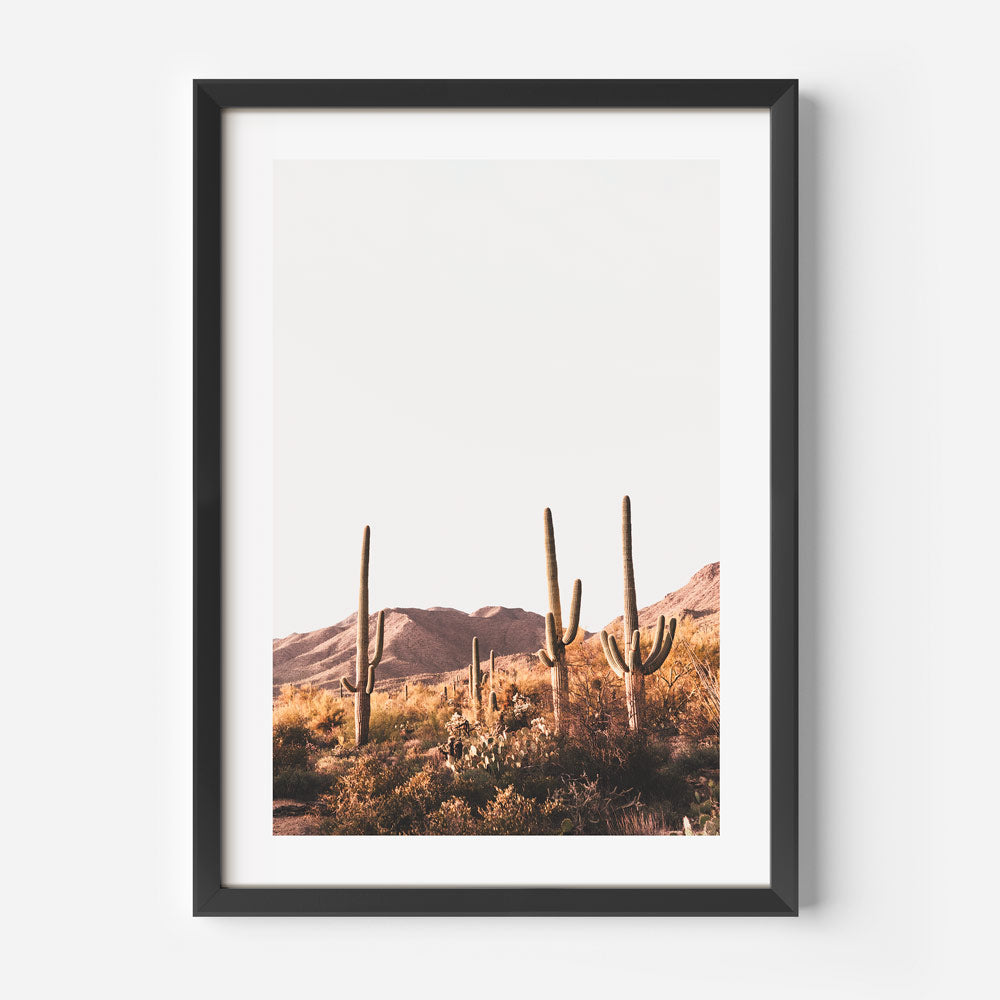 Southwest Landscape: Desert scene featuring Saguaro cactus and Tucson mountains, perfect for rustic home decor.