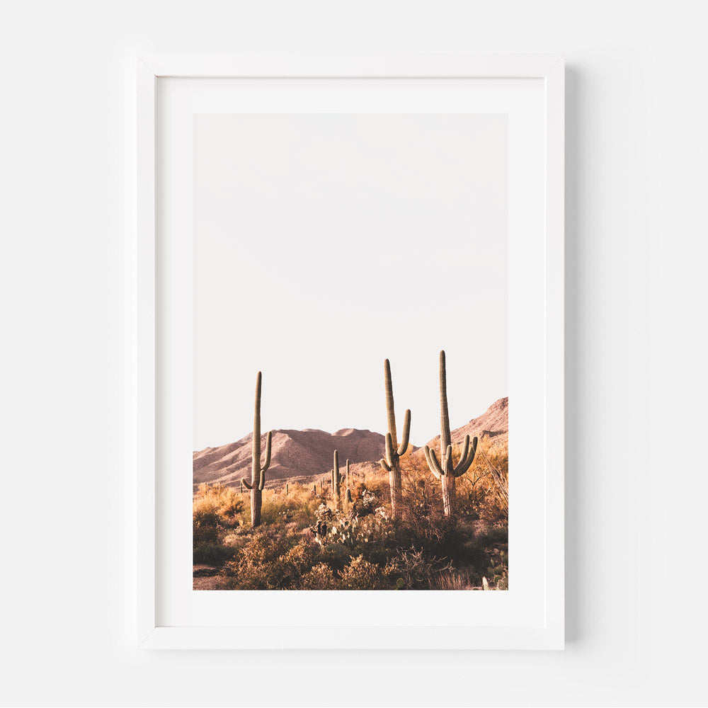 Saguaro National Park, Tucson: Majestic cactus against a backdrop of mountains, capturing the beauty of the desert landscape, ideal for wall art and home decor.