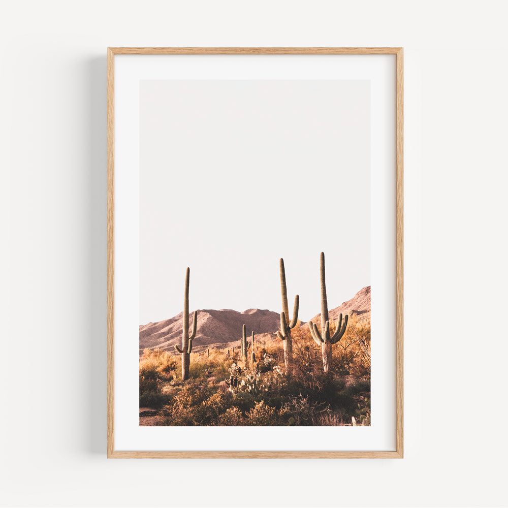 Arizona Desert Beauty: Iconic Saguaro cactus against Tucson's majestic mountains, epitomizing desert wall art.