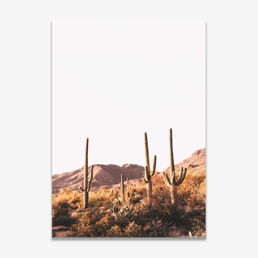 Saguaro National Park Vista: Cactus framed by Tucson's mountains, a serene desert landscape for wall decor.