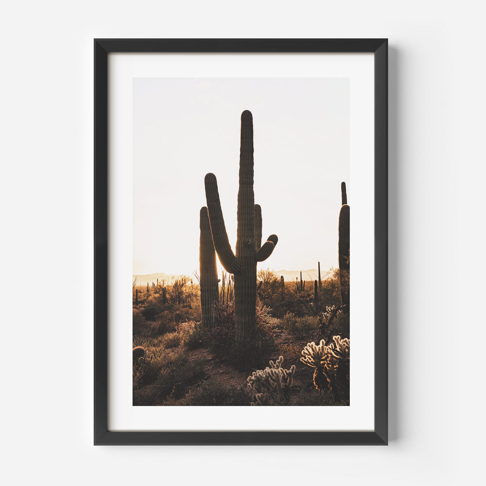 Wall art: Saguaro National Park framed print - Oblongshop