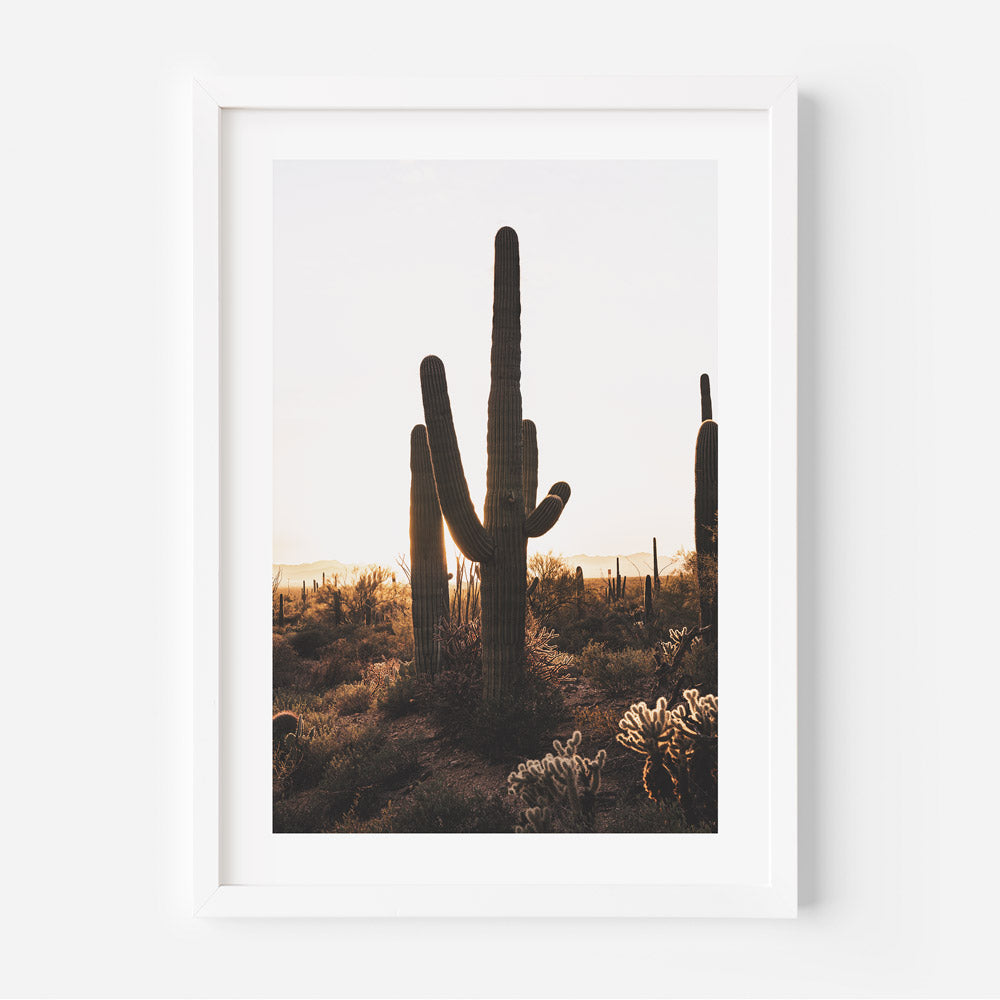 Framed Saguaro National Park photo - wall art for home or office - Oblongshop