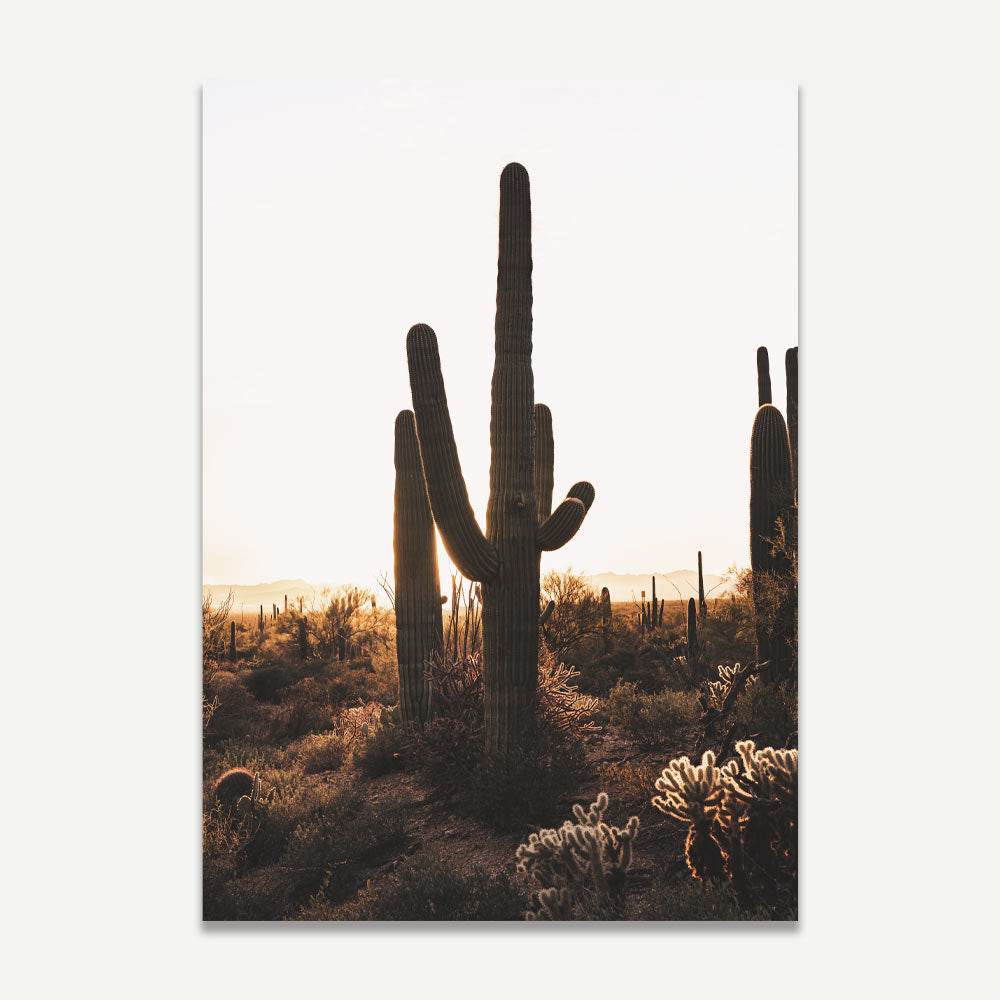 Framed photo of Saguaro National Park - wall art for home or office - Oblongshop