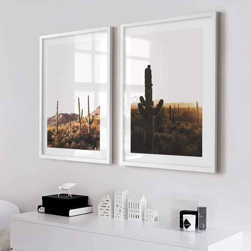 Saguaro Park III