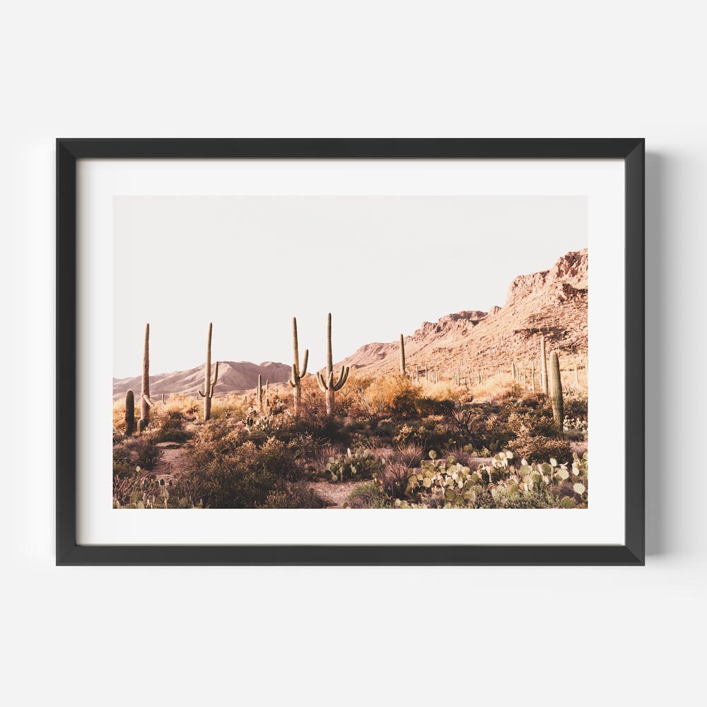 Framed photo of Saguaro desert landscape - wall art for home or office decor.