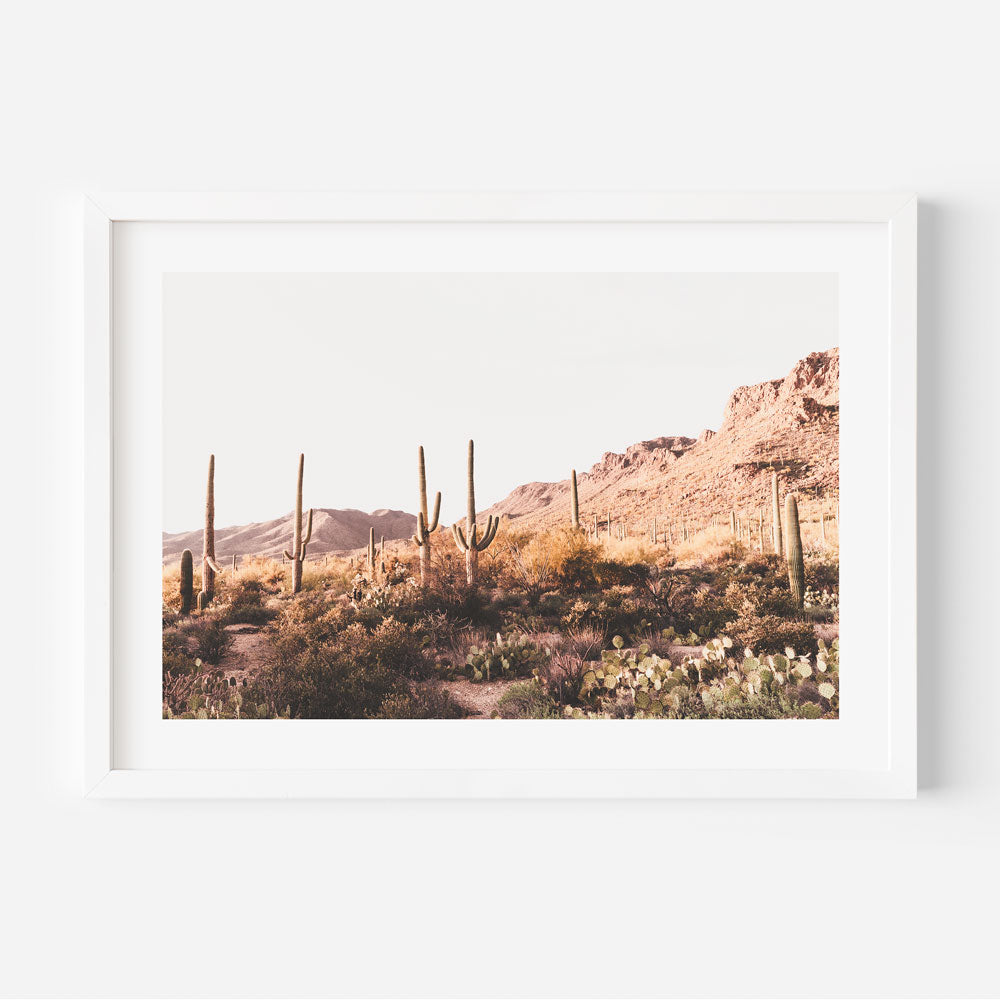 Saguaro desert landscape print - wall art decor for home or office from Saguaro National Park, Tucson.
