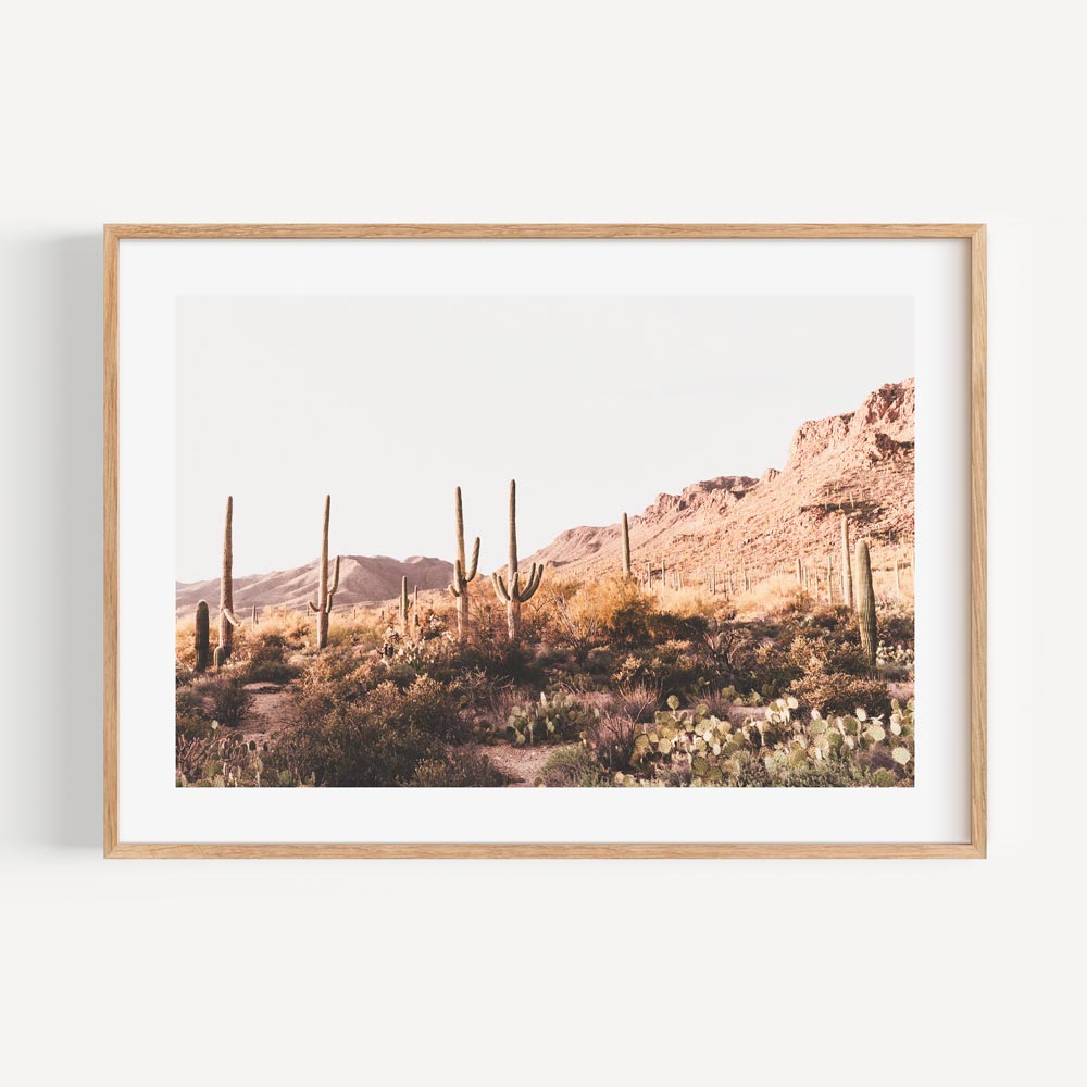 Saguaro desert landscape print - fine art wall decor from Saguaro National Park, Tucson.