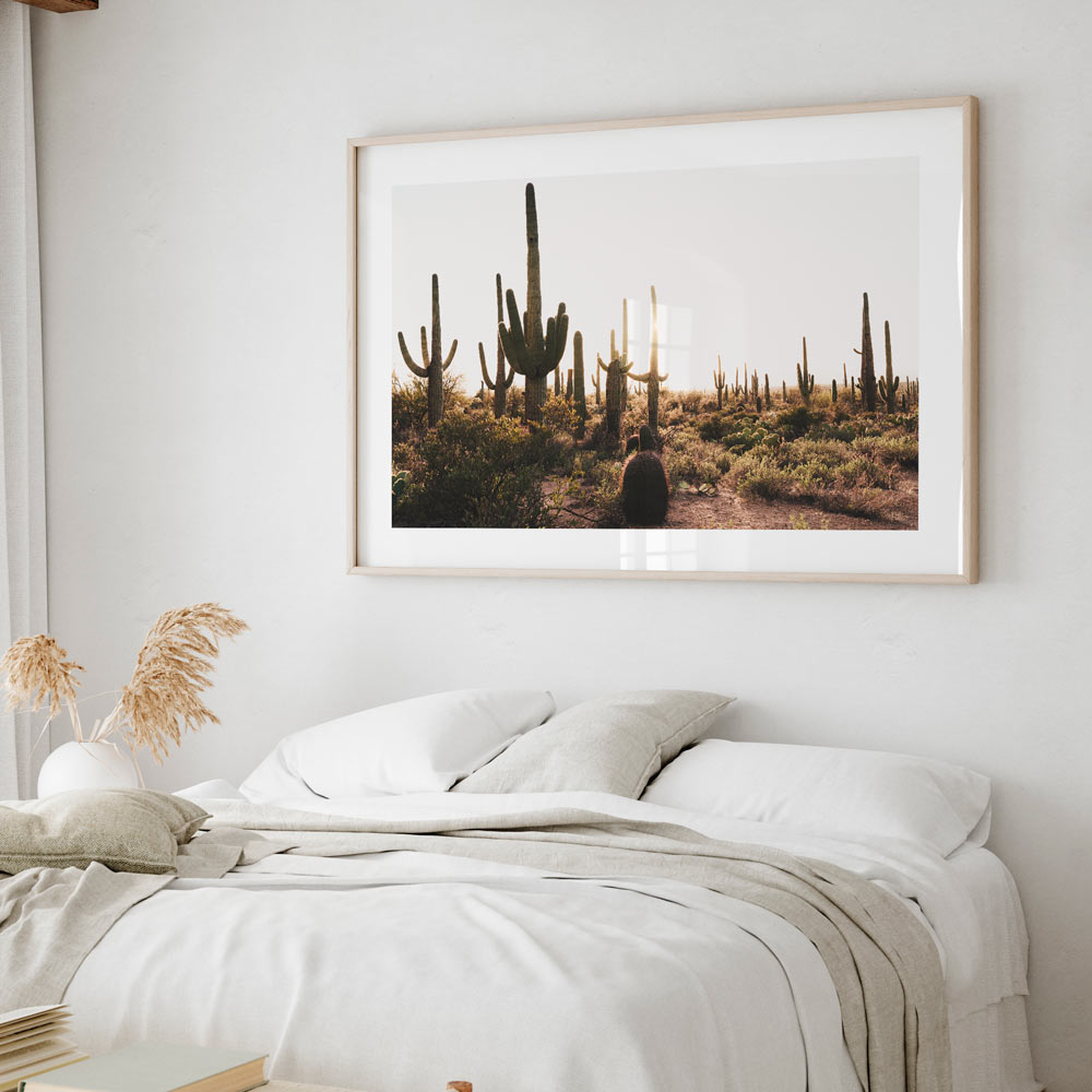 Saguaro desert sunset photography print: A captivating framed photo of Saguaro National Park, Tucson, ideal for home or office wall decor.