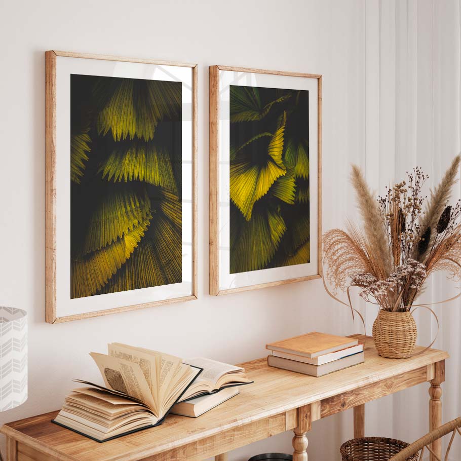 Set of 2 Art Prints - Fan Palm I & II