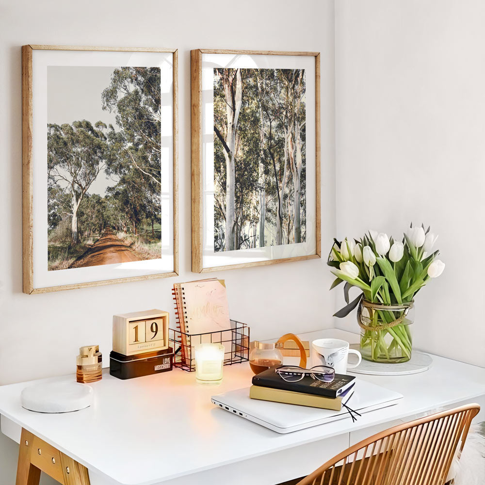 Set of 2 Art Prints - Country Road & White Gums II