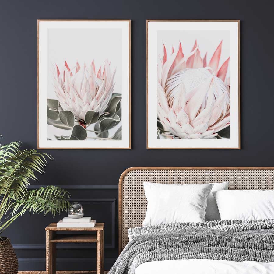 Set of 2 Art Prints -  Queen Protea IV & III