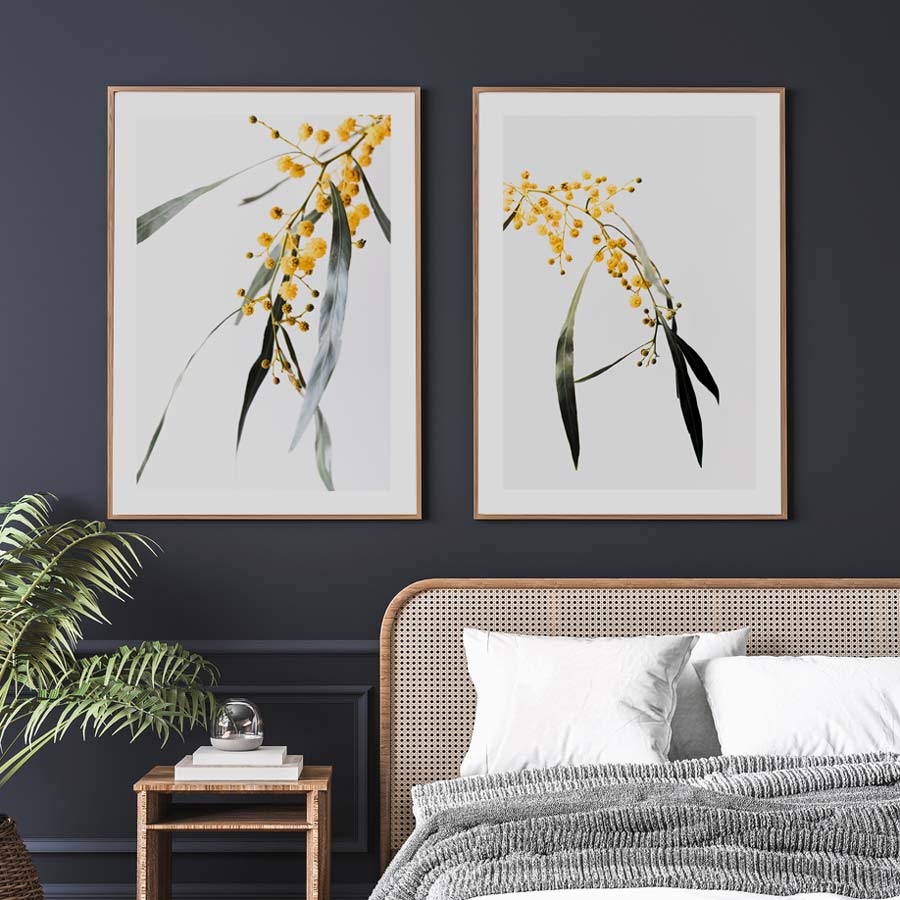 Set of 2 Art Prints - Wattle I & II