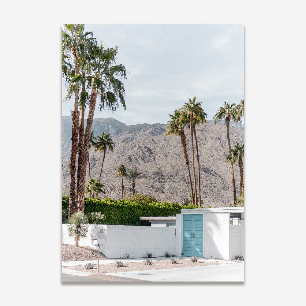 Mid Century modern home , cactus , palm trees , palm springs landscaping , palm springs , Indian Canyon