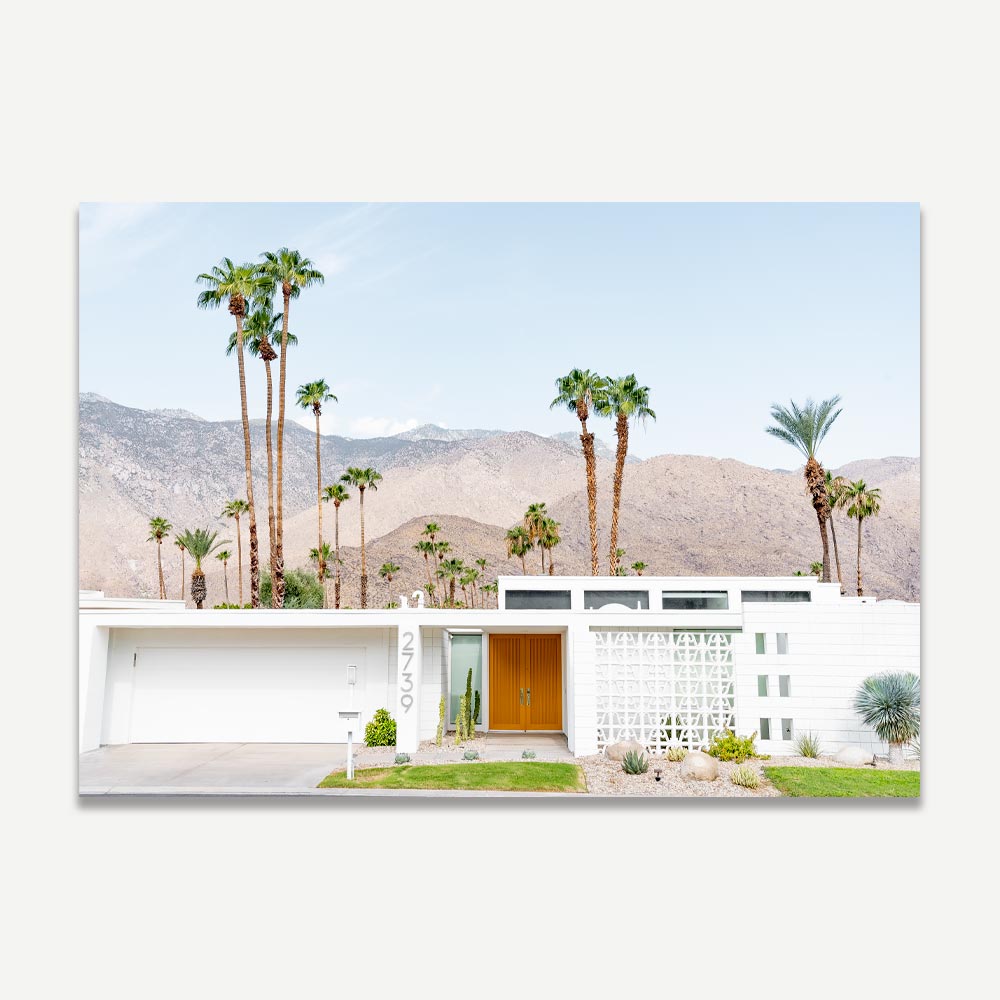 Mid Century modern home , cactus , palm trees , palm springs landscaping , palm springs , Indian Canyon