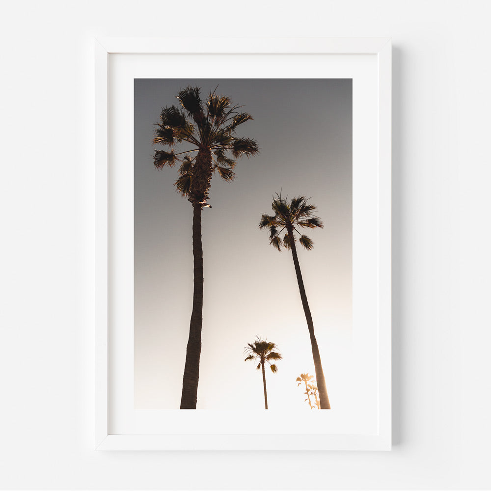 Sunset palm trees in a white frame - wall art for homes and offices with real photography from California's beauty.