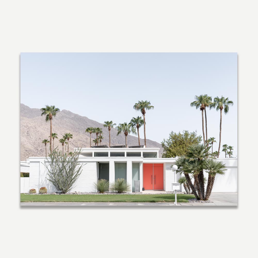 Mid Century modern home , cactus , palm trees , palm springs landscaping , palm springs , Indian Canyon