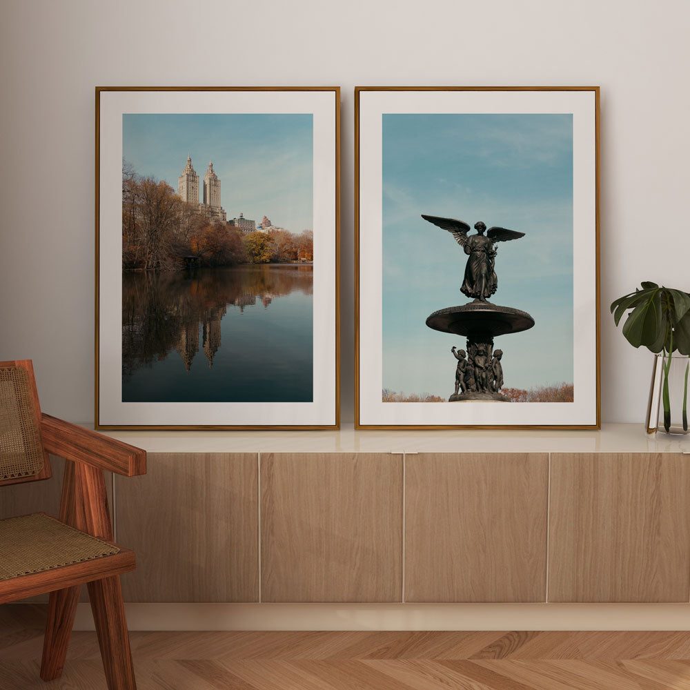 The Lake Central Park Art Print