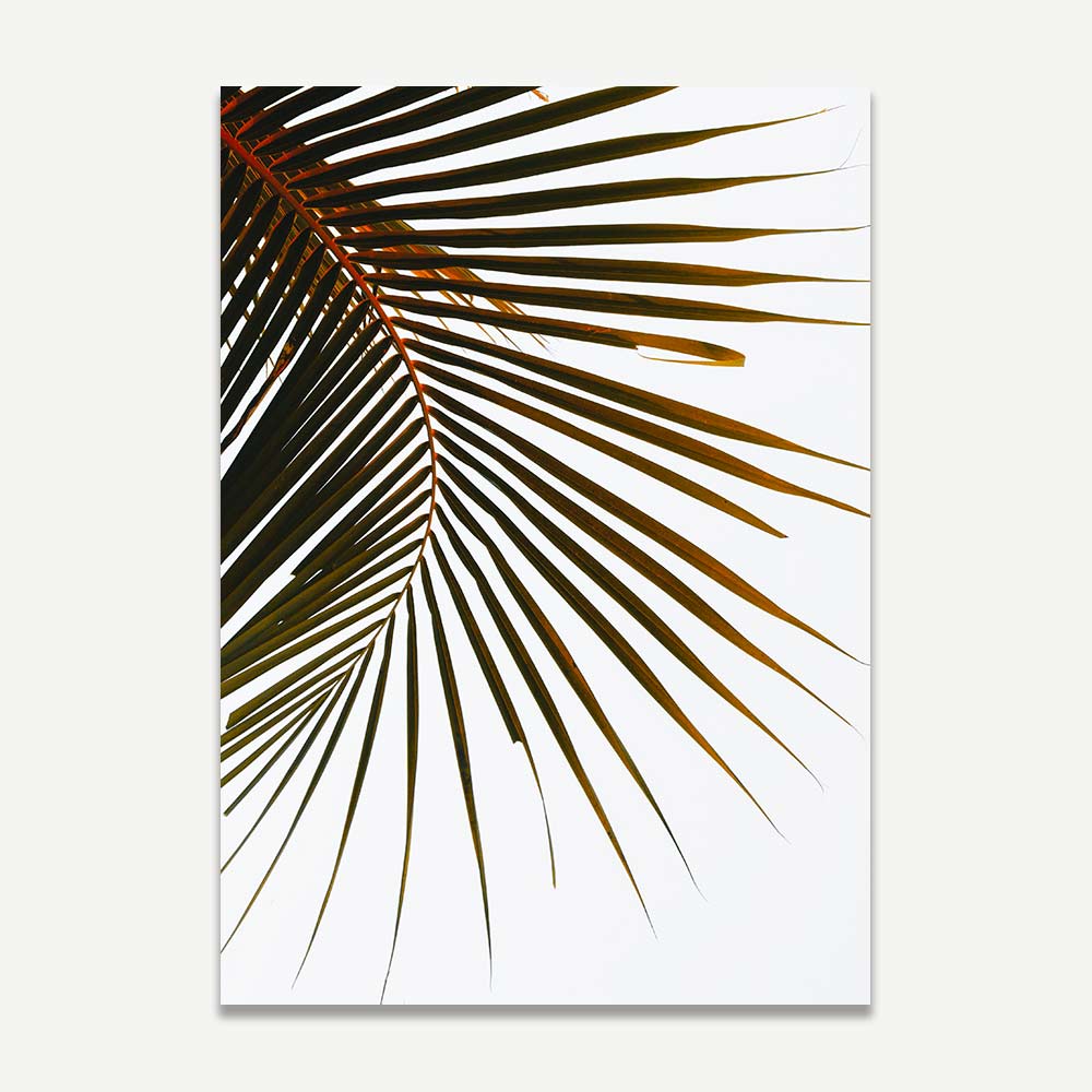 Tropical Palm Frond Art Print