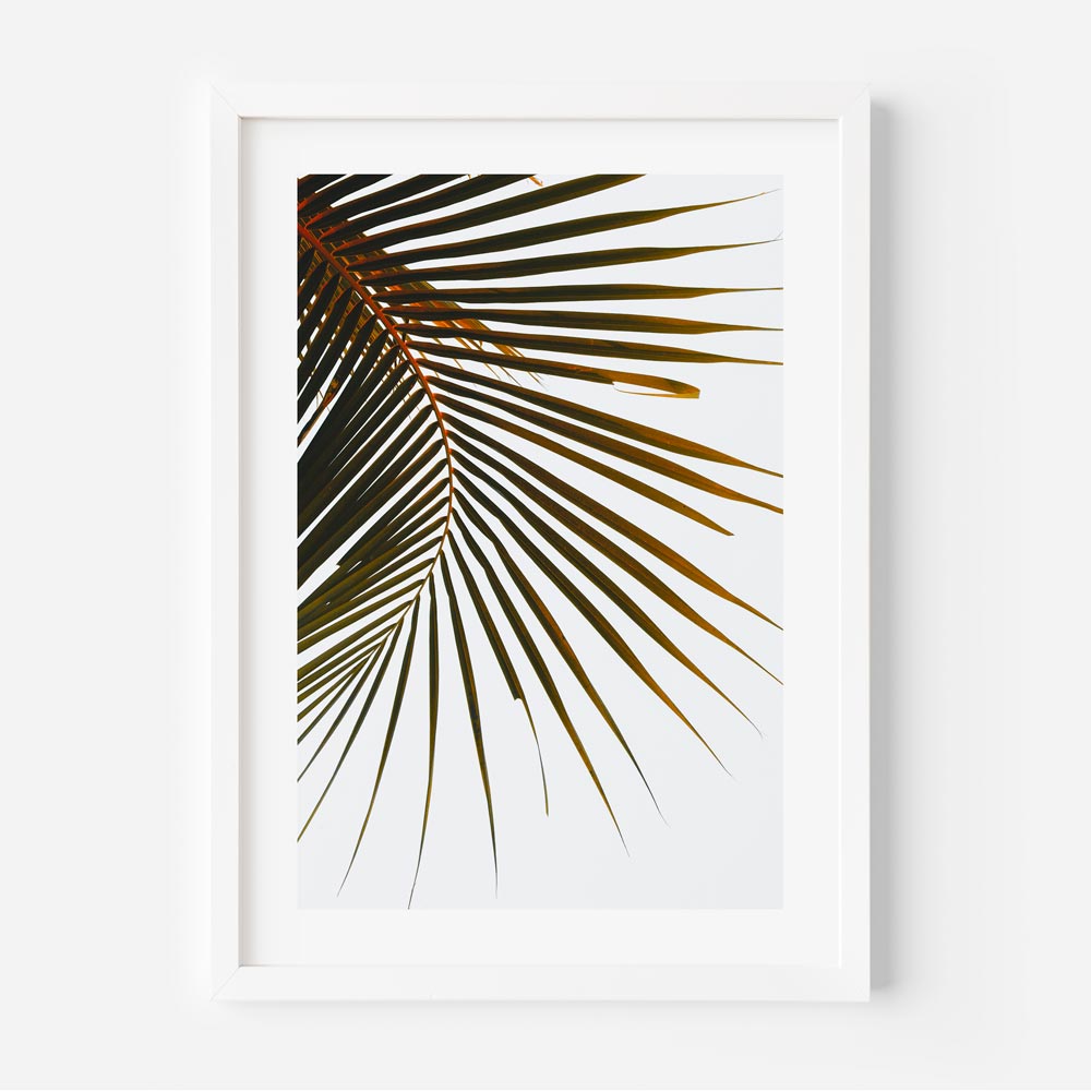 Tropical Palm Frond Art Print