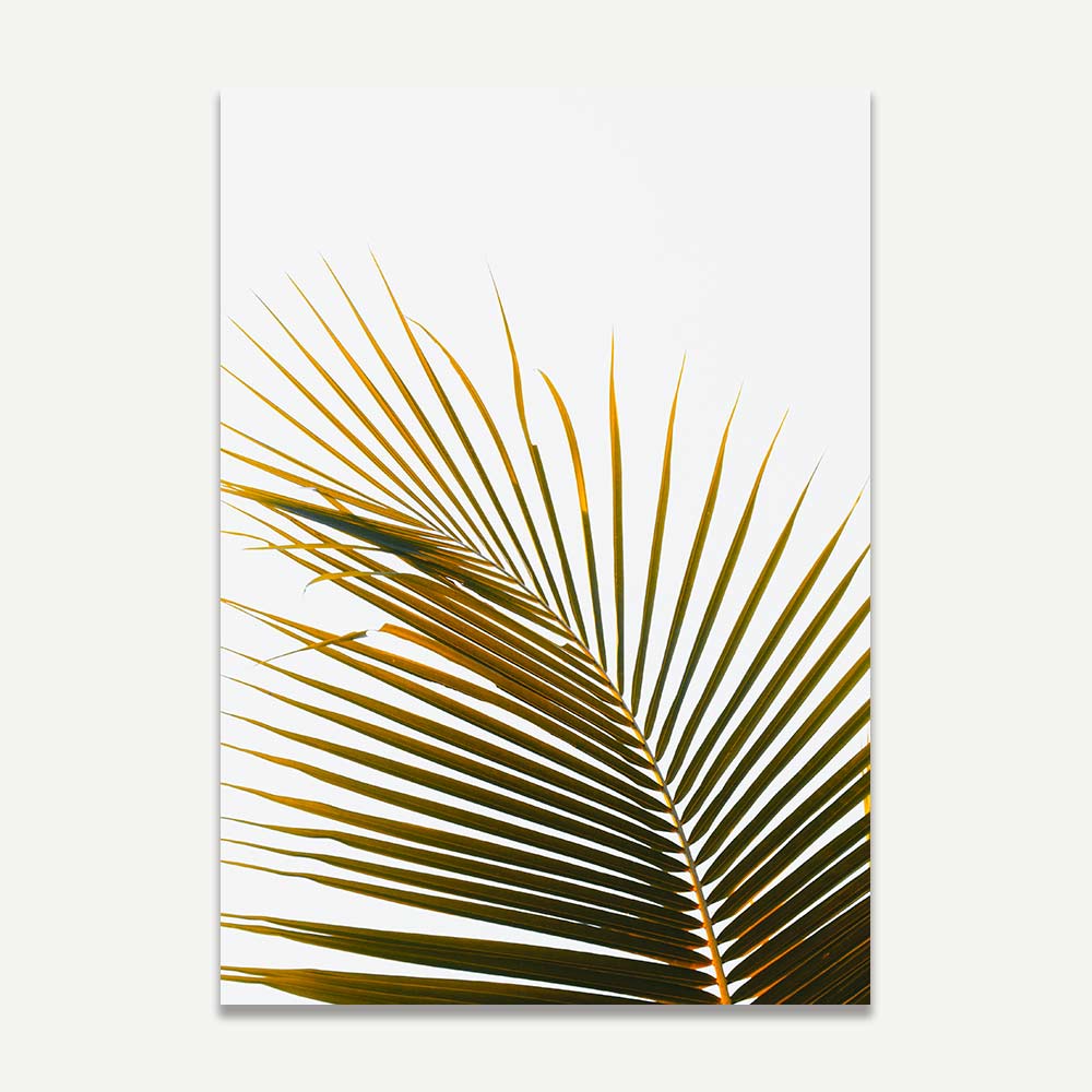 Tropical Frond Art Print