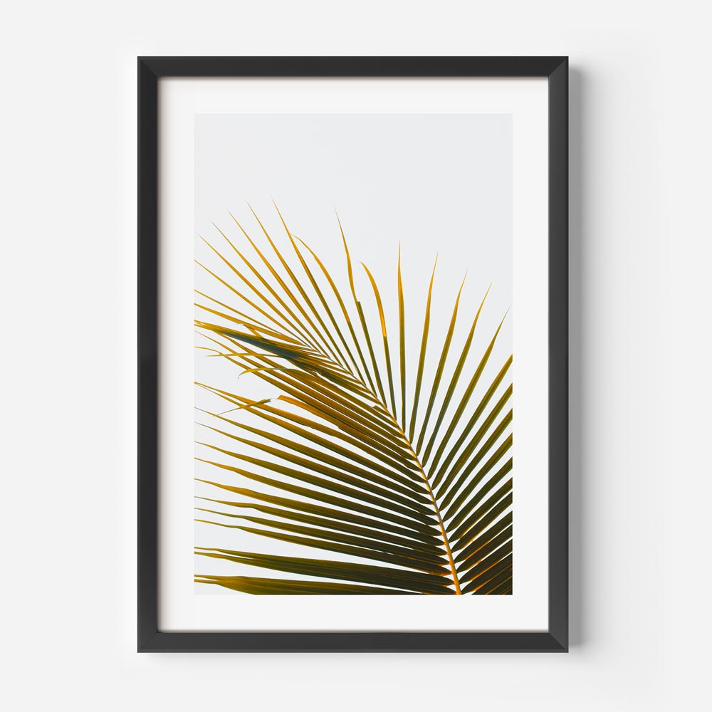 Tropical Frond Art Print