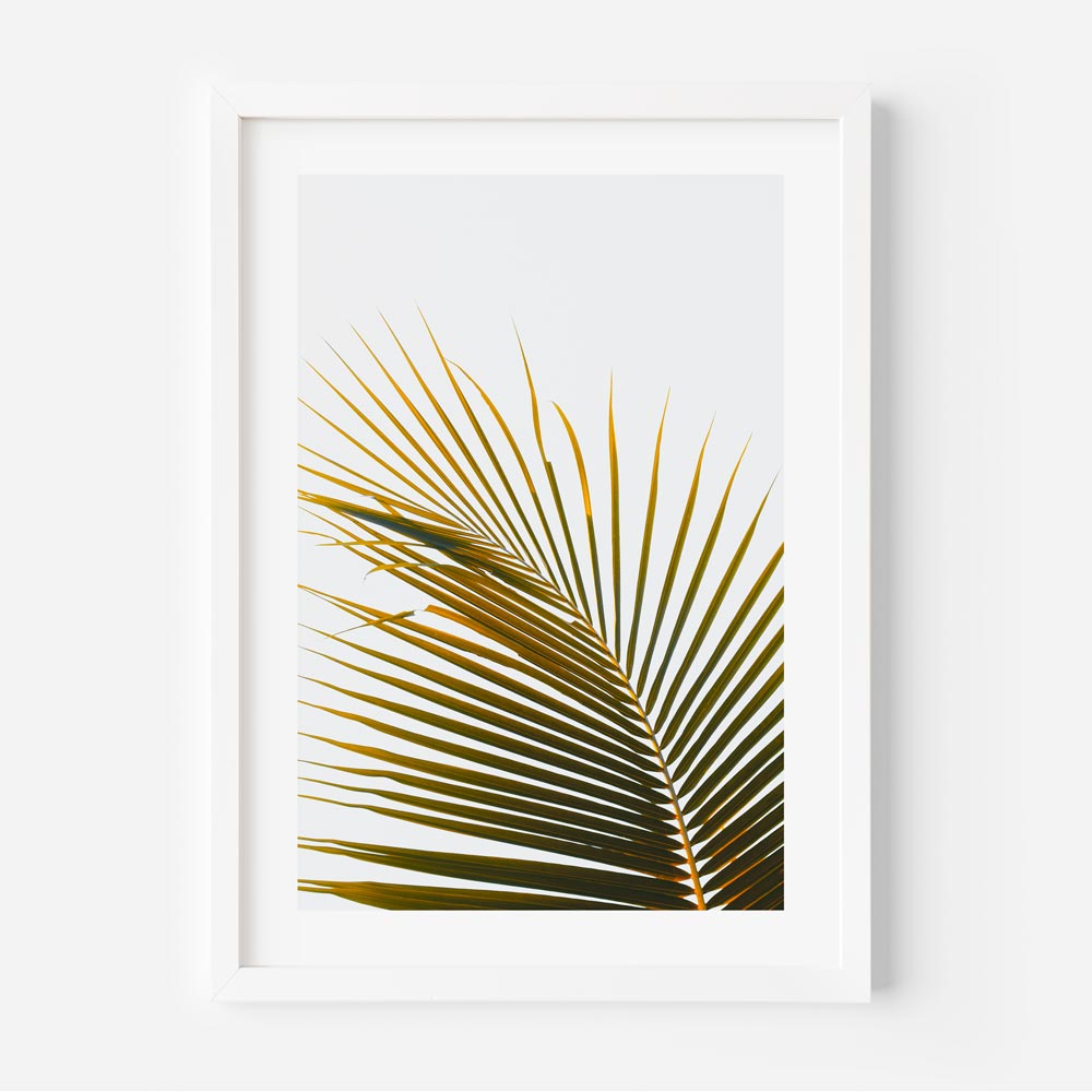 Tropical Frond Art Print