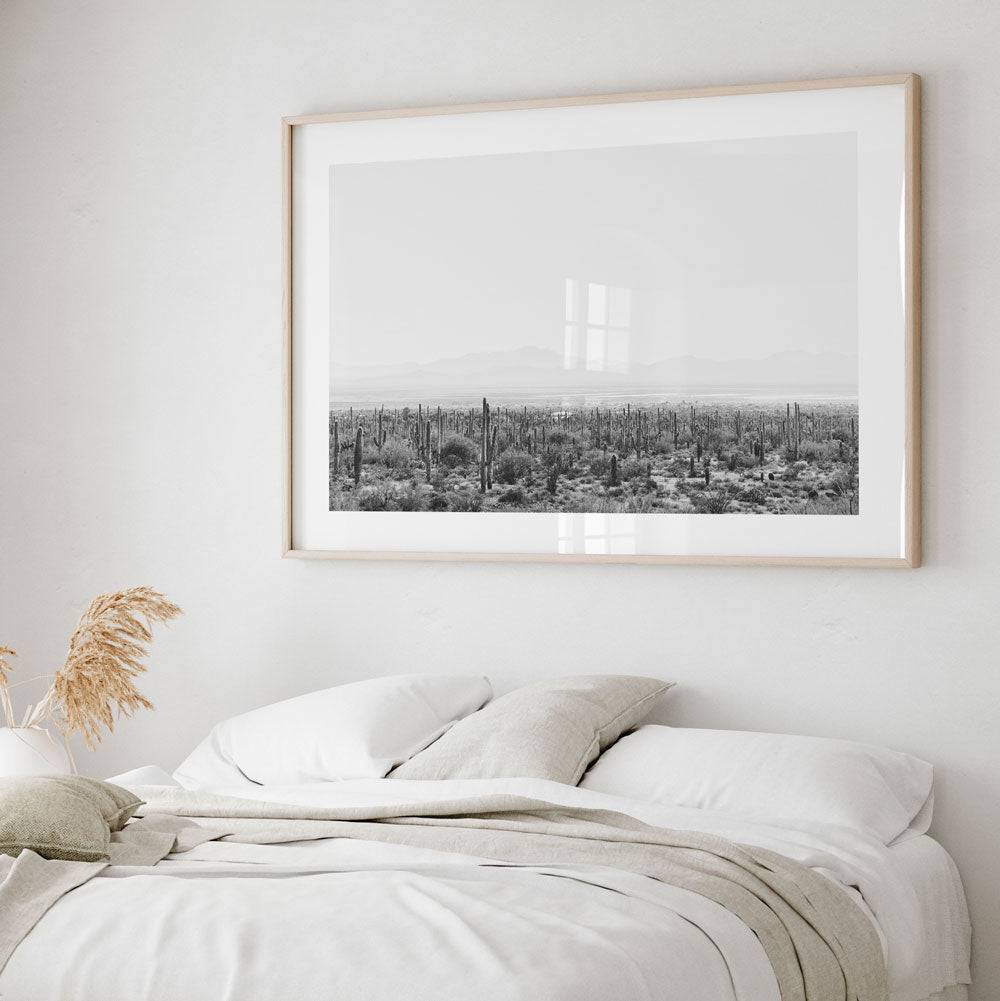 BW Saguaro Tucson I Art Print