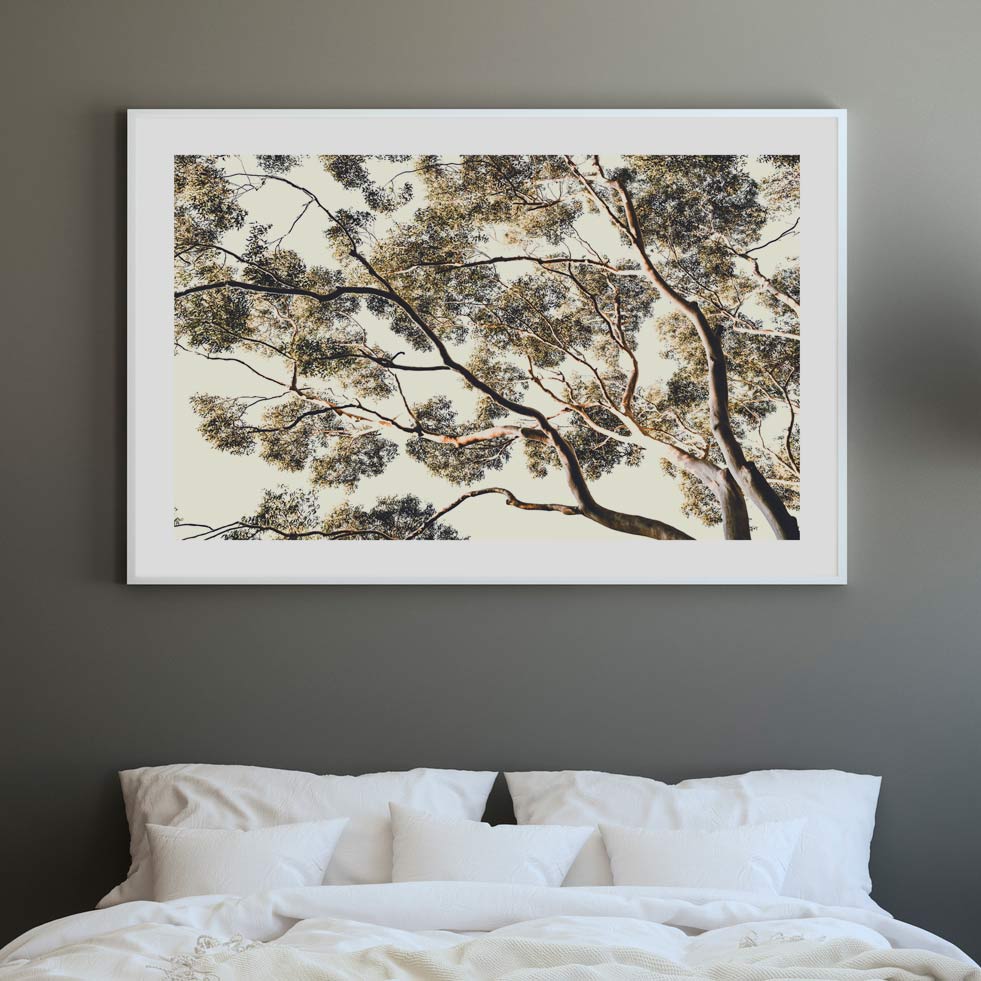 Under Gum Tree Art Print