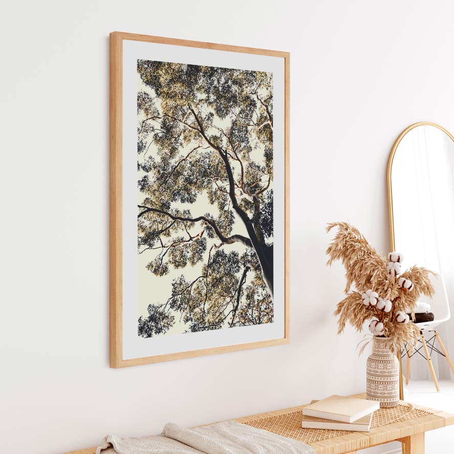 Wall artwork: A framed photo of the EUCALYPTUS - Fine art prints