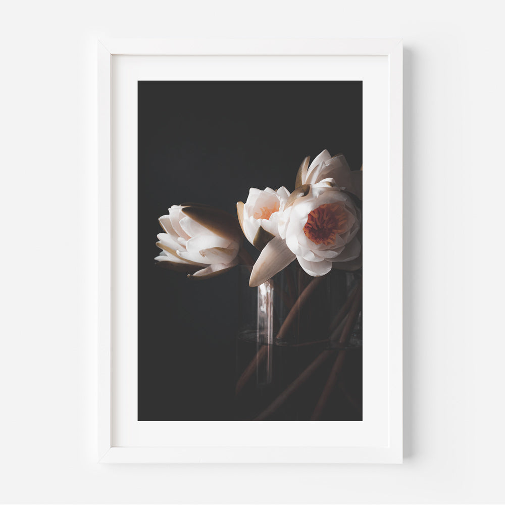 Set of 3 - Water Lily I / II & Solo Water Lily